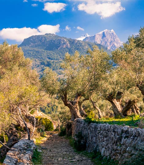 Soluciones de climatización en Mallorca proporcionadas por Sinergies Mallorca para un ambiente confortable
