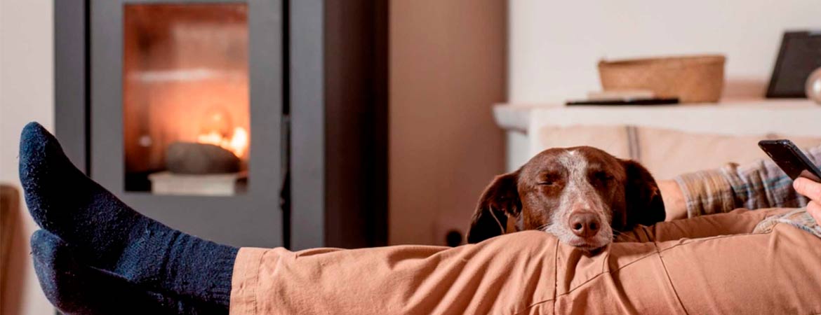 La mejor decisión para tu hogar: estufa de pellet de Sinergies Mallorca
